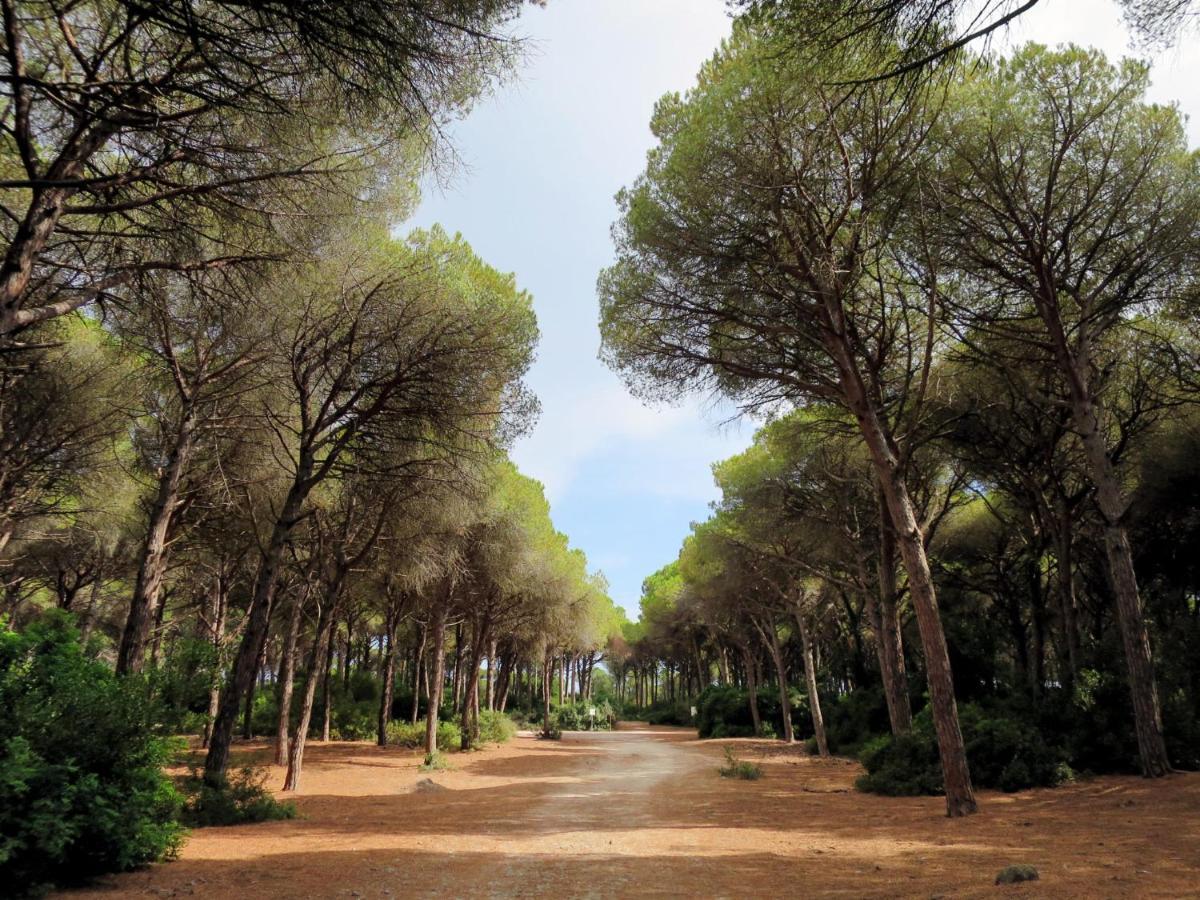 Holiday Home La Tordara By Interhome Porto Santo Stefano  Exteriör bild